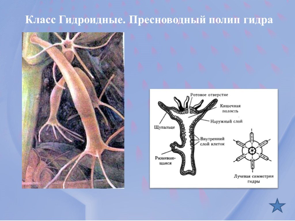 Как зарегаться на меге